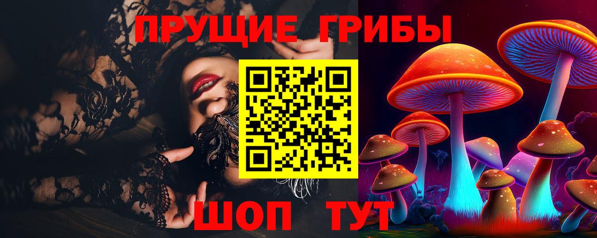 Псилоцибиновые грибы Psilocybe  Галлюциногенные грибы Psilocybe  Спасск-Дальний  Вход с VPN 
